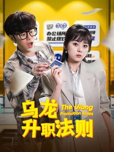 乌龙升职法则 第19集