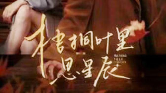 梧桐叶里思星辰 第41-60集