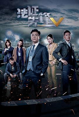 法证先锋5粤语 第12集
