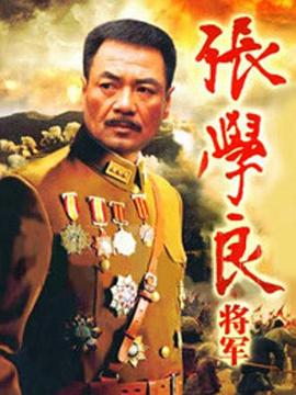 张学良将军 第29集