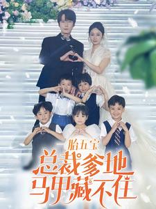 一胎五宝总裁爹地马甲藏不住 第41集