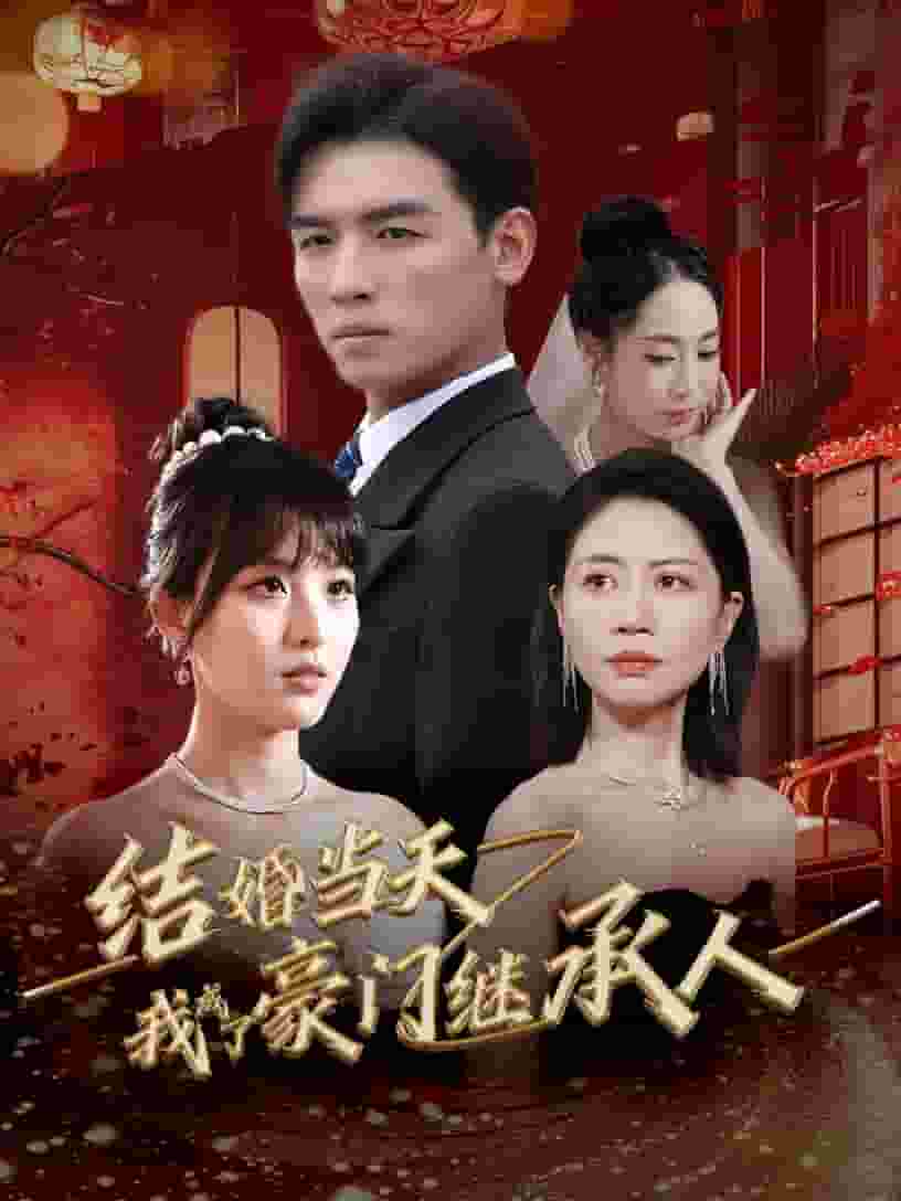结婚当天我成了豪门继承人 第19集