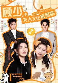 顾少，夫人又在拆家啦(全集)