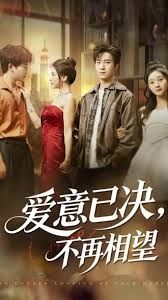 爱意已决不再相望 全集完结(大结局)